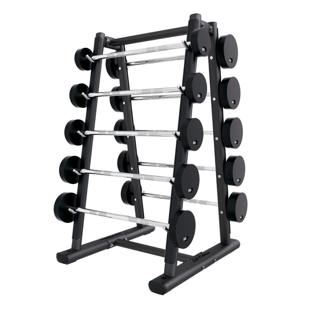 Life Fitness Signature Series 2 Tier Dumbbell Rack | Used Gym Equipment